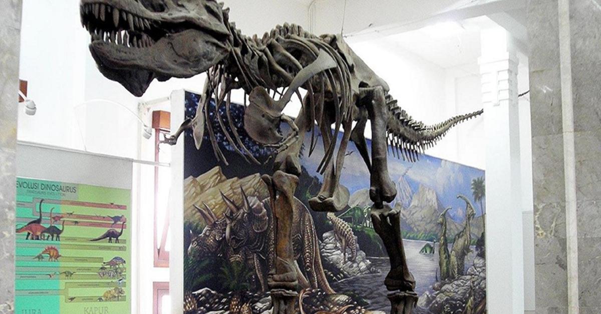 Museum Geologi Banyuwangi, Destinasi Wisata Edukasi Terbaru dari Banyuwangi Jawa Timur