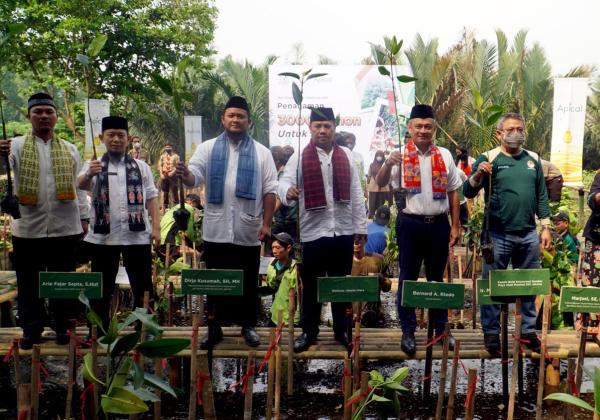 Rayakan HUT DKI Jakarta, Apical Group dan Pemprov DKI Tanam 3000 Mangrove