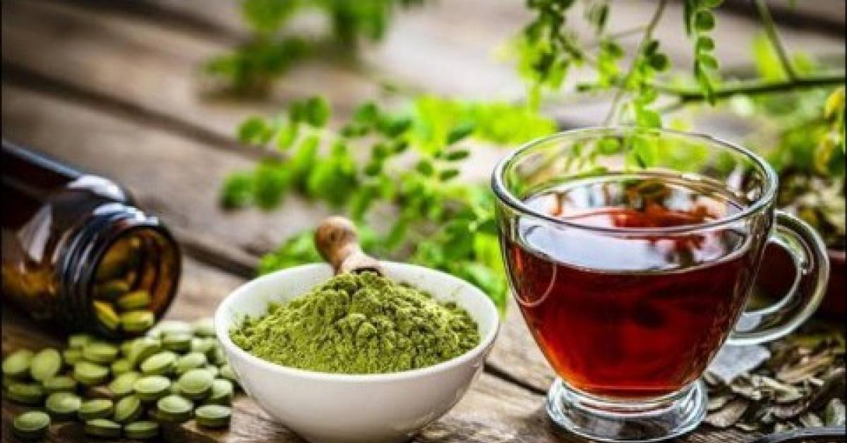 10 Manfaat Teh Daun Kelor untuk Kesehatan Tubuh, Salah Satunya Meningkatkan Kesehatan Tulang