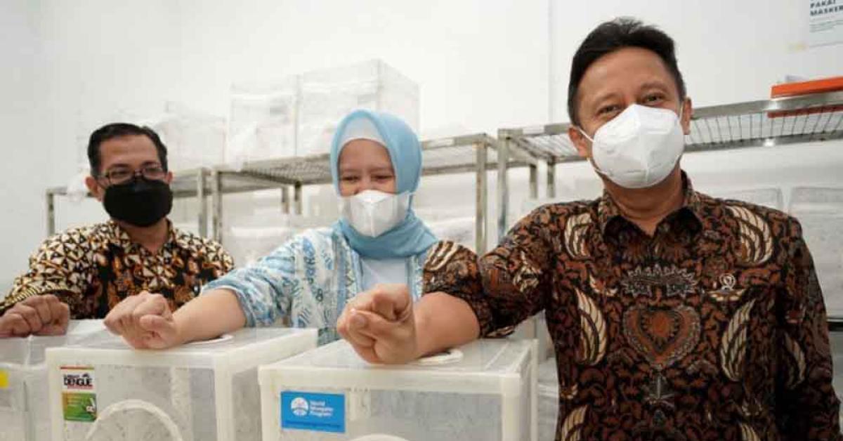 Kemenkes Ungkap Nyamuk Wolbachia Efektif Turunkan Kasus DBD, Ini Kata Pakar