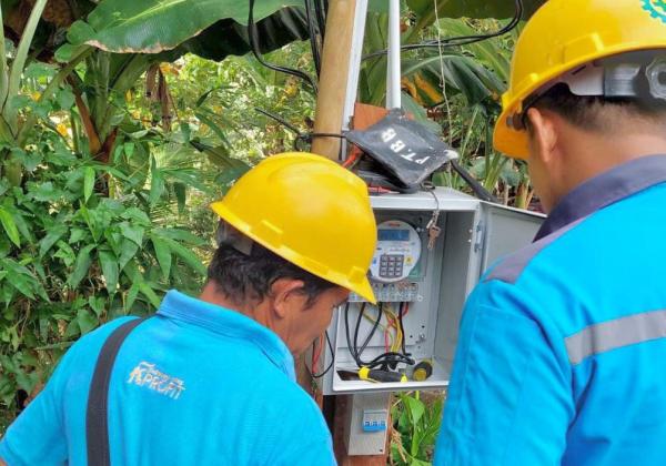 Program Electrifying Agriculture PLN Tekan Biaya Operasional Petani Bawang di Enrekang Sulsel hingga 75 Persen