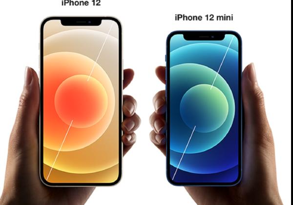 Diskon iBox Februari 2023: iPhone 12 Banting Harga Lebih Murah, Cek di Sini