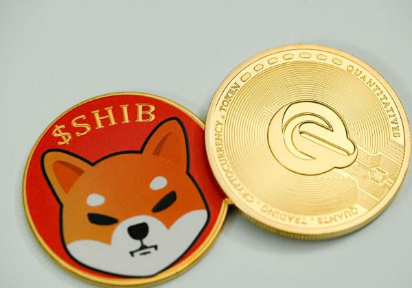 Mengenal Shiba Inu Coin, Uang Kripto yang Harganya Murah tapi Potensi Keuntungannya Besar 