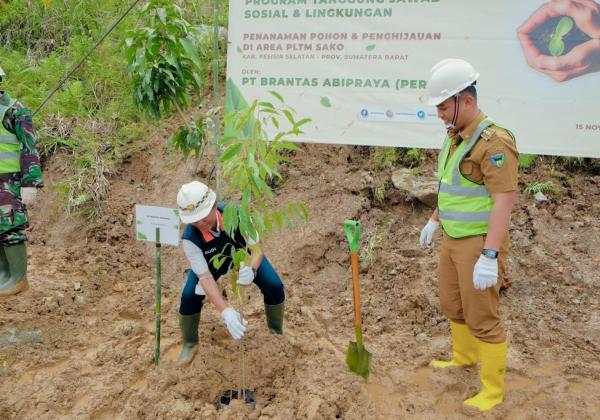 Hijaukan Lingkungan, Brantas Abipraya Bakal Tanam 5.500 Bibit Pohon di PLTM Padang Guci