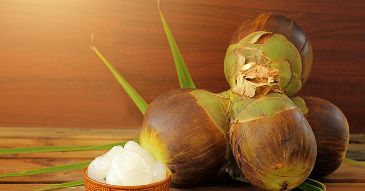 10 Kandungan Zat Penting Dalam Buah Lontar