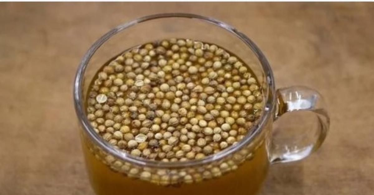 Sering Kesemutan? Ini Resep Herbal untuk Penyempitan Pembuluh Darah ala dr Zaidul Akbar 