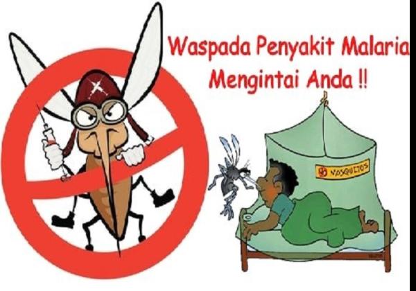 Muncul Penyebaran Penyakit di IKN Nusantara, Pekerja Dapat Kelambu Insektisida Antimalaria