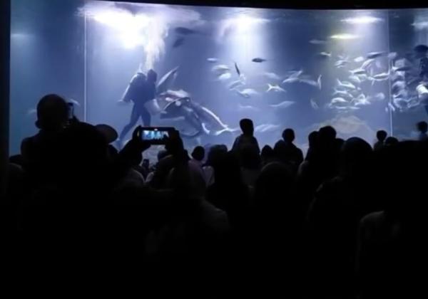 Aquarium KKP di Pangandaran Jadi Destinasi Favorit Libur Lebaran