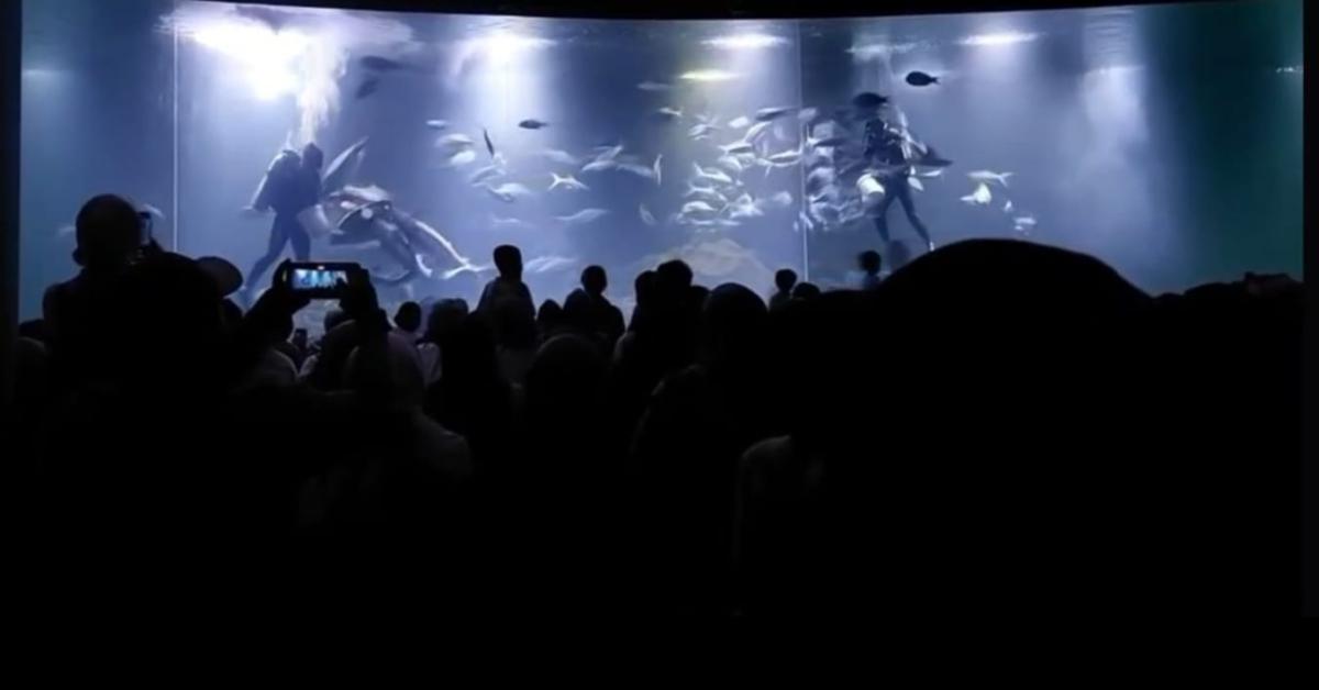 Aquarium KKP di Pangandaran Jadi Destinasi Favorit Libur Lebaran