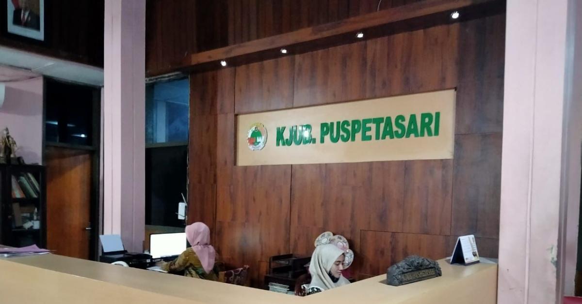 Menengok Budidaya Sapi Sistem Kemitraan KJUB Puspetasari Klaten