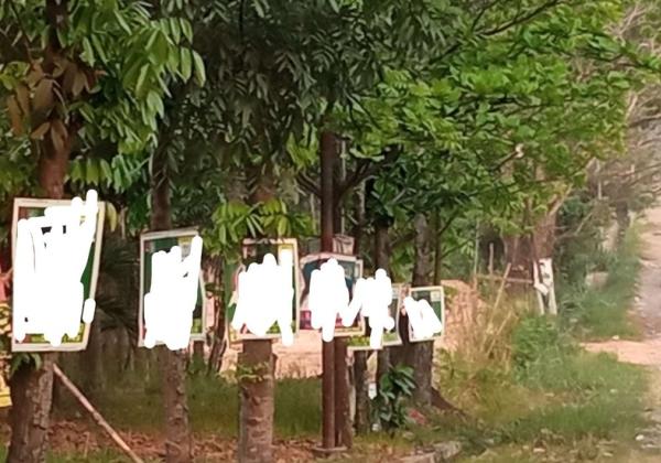 Peringatan KPU! Peserta Pemilu Diminta untuk Tidak Pasang Alat Peraga Kampanye di Pohon
