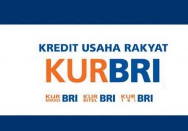Platform KUR BRI 2023, Cek Syarat untuk Mendapatkan Limit Kreditnya