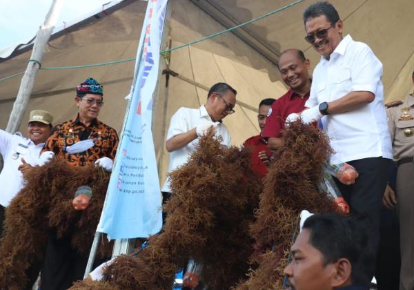 Menteri Trenggono Pacu Hilirisasi Rumput Laut di Perbatasan Indonesia-Malaysia