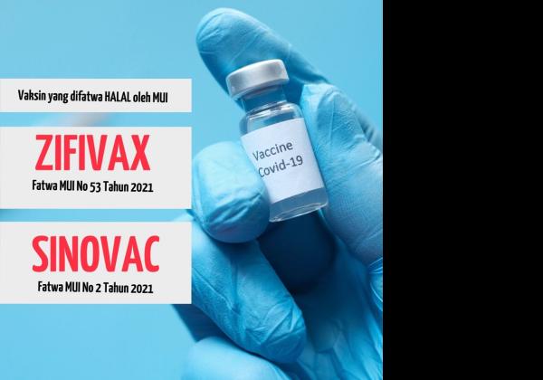 Panja Vaksin Pertanyakan Alasan Pemerintah Tak Gunakan Zifivax: Bagi Saya Vaksin Halal Harga Mati 