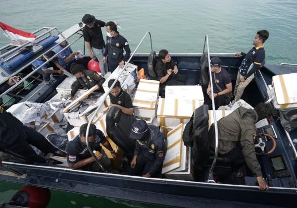 Bea Cukai Kepri Gagalkan Penyelundupan Benih Lobster Senilai Rp14 Miliar