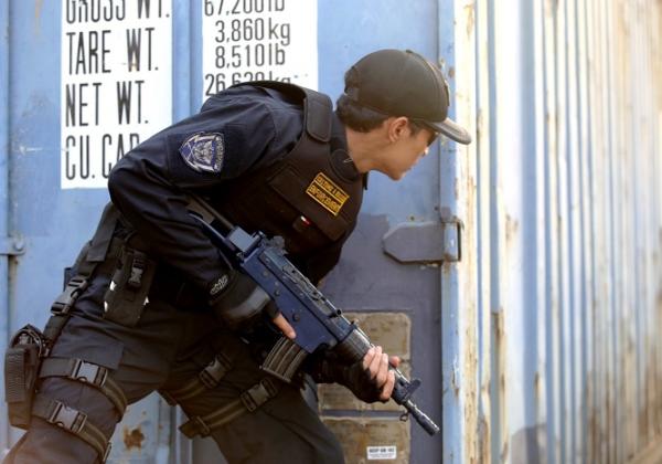 Operasi Pengawasan Bea Cukai di Jawa Tengah Hasilkan Penindakan 244.400 Batang Rokok Ilegal