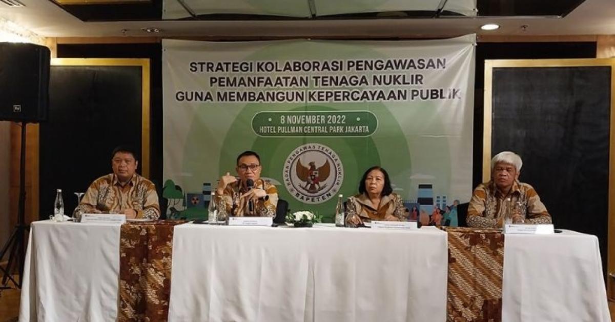 Bapeten Sebut IKN Nusantara Bisa Saja Gunakan Energi Nuklir Untuk Pembangkit Listrik, Tapi....