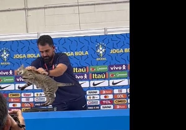 Kekalahan Brasil Atas Kroasia di Piala Dunia 2022 Gegara Buang Kucing saat Konferensi Pers?