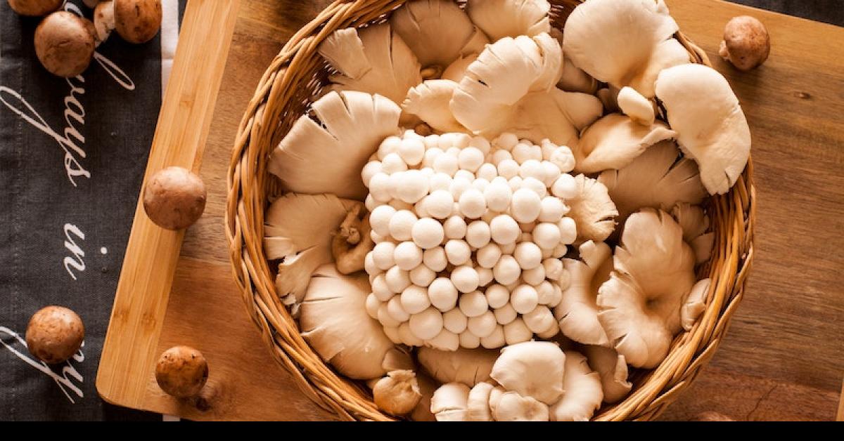 Jangan Salah Makan, Ini 15 Jenis Jamur yang Aman Dikonsumsi dan Baik untuk Kesehatan