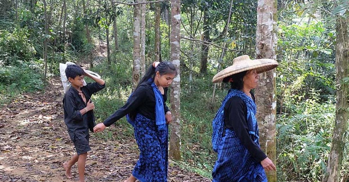 Mengenal Perbedaan Suku Badui Dalam dan Badui Luar