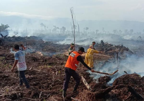 Antisipasi Kebakaran Hutan, Instruksi Kapolri pada Kapolda: Aktifkan Lagi Satgas Karhutla