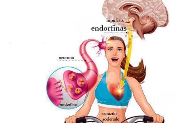 Kenali Endorfin: Cara Kerja Hormon Kebahagiaan Dalam Tubuh