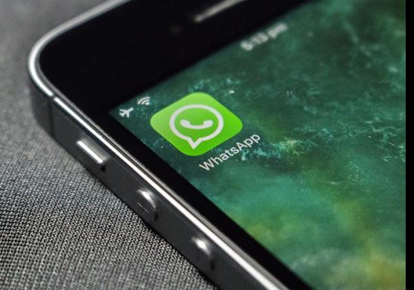 Sudah Tahu Fitur Terbaru WhatsApp? Kirim Foto Hingga 100 Tanpa Dikompres, Gak Perlu Lagi Download WA Mod APK