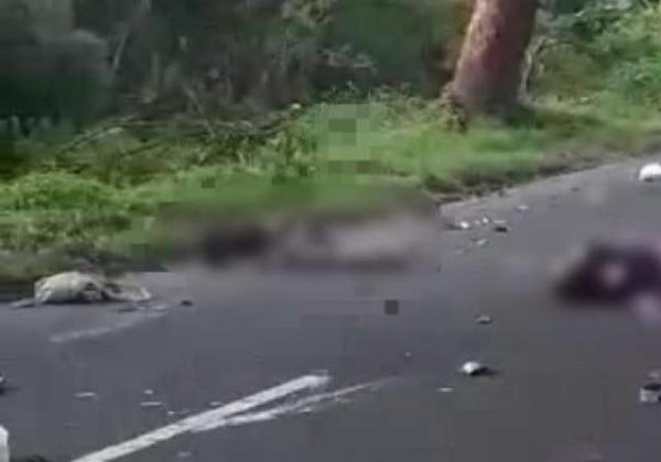 Tak Mampu Kuasai Laju Kendaraannya, Dua Pemotor Tewas Seketika Ditabrak Minibus