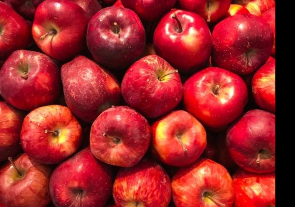 Jangan Asal Beli Buah Impor, Yuk Pahami Dulu Kode yang Ada Pada Stiker-nya