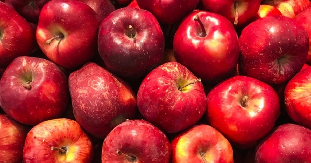 Jangan Asal Beli Buah Impor, Yuk Pahami Dulu Kode yang Ada Pada Stiker-nya