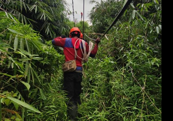 PLN Berhasil Pulihkan 100% Kelistrikan Terdampak Gempa Cianjur, 326 Ribu Pelanggan Kembali Menyala