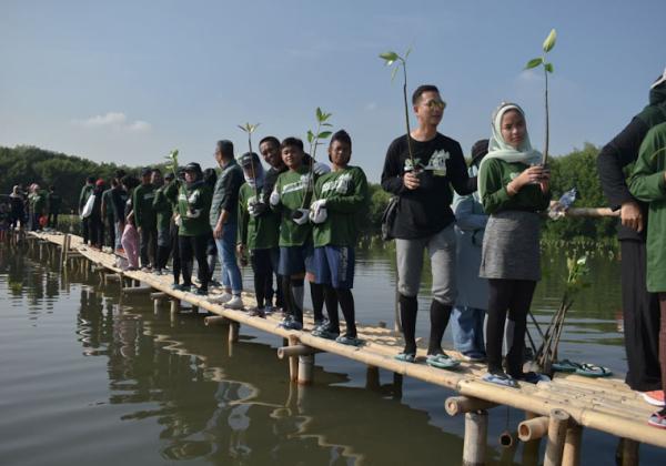 Lanjutkan Penghijauan, Epson Indonesia Tanam 6000 Pohon dan Rehabilitasi Mangrove
