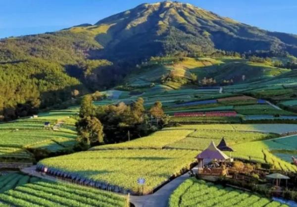 Pemandangan Menakjubkan! 3 Wisata Populer di Magelang yang Cocok untuk Healing, Buruan Rencanakan Liburanmu