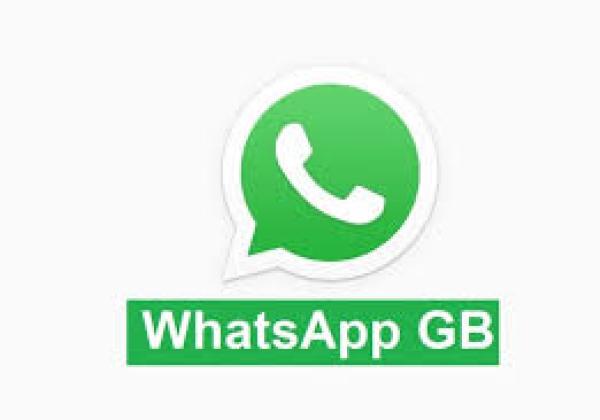 Link Download WA GB WhatsApp v20.50 by Waves dengan Akses Anti Hapus Chat dan Tema Gratis, Paling Diburu!