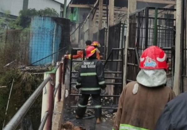 9 Kuda Mati Terpanggang saat Kebakaran di Desa Cibuntun, Ciampea, Bogor