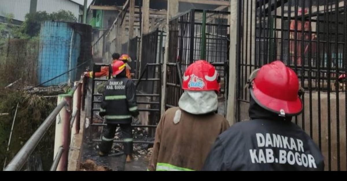 9 Kuda Mati Terpanggang saat Kebakaran di Desa Cibuntun, Ciampea, Bogor