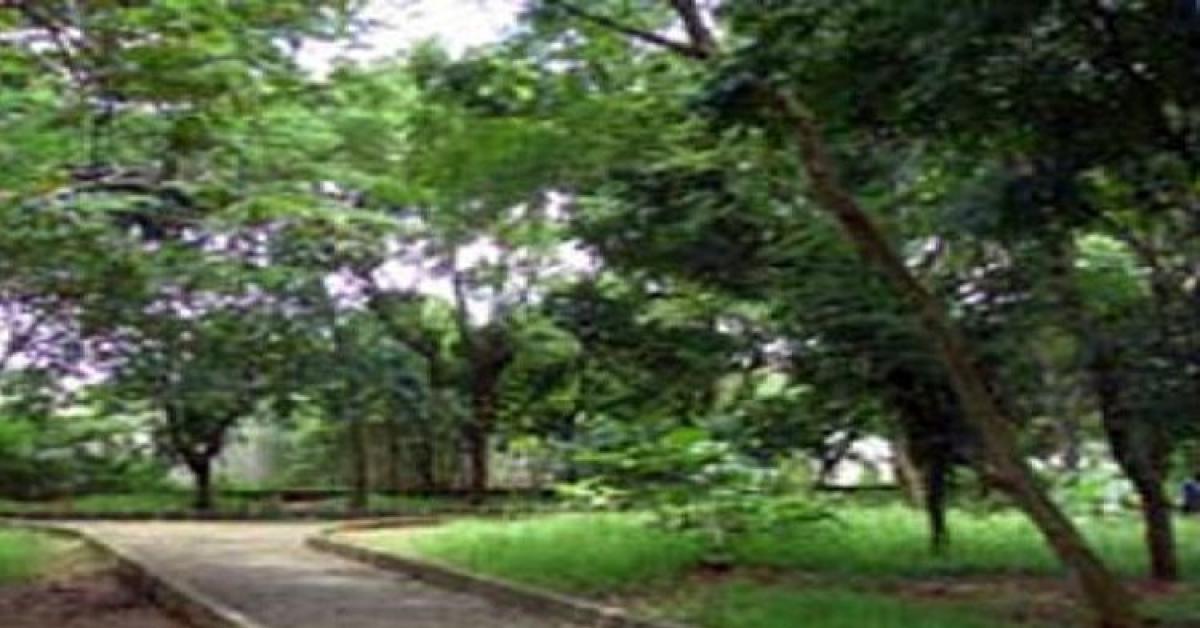Respon Keras Wagub DKI Dengar Hutan Kota Jakarta Utara Jadi Tempat Prostitusi