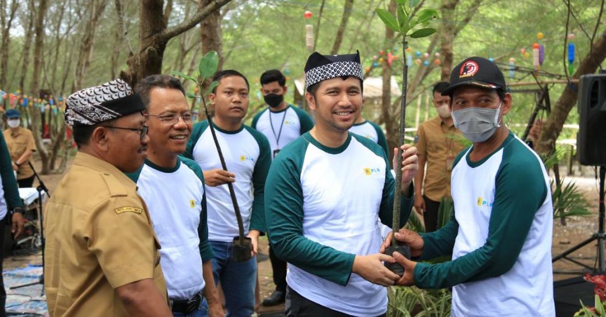 Wujudkan pembangunan berkelanjutan, PLN Tanam 5.000 Bibit Mangrove di KEE Teluk Panggang Jawa Timur 