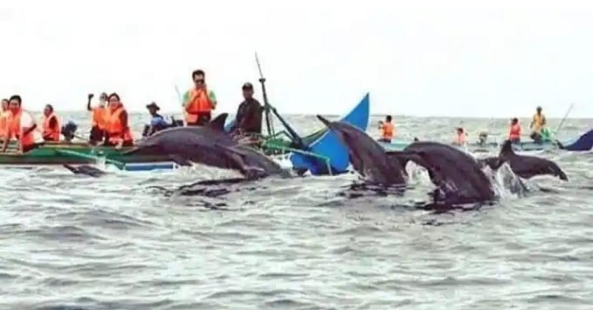 5 Wisata Pantai di Lampung yang Cocok untuk Santai, Sensasi Menyantap Makanan yang Lezat hingga Suara Burung nan Syahdu