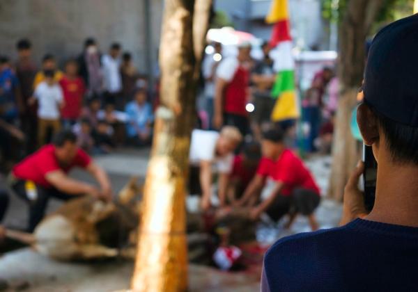 Sudin KPKP Jakut Sosialisasikan Pemotongan Hewan Kurban Higienis dan Ramah Lingkungan