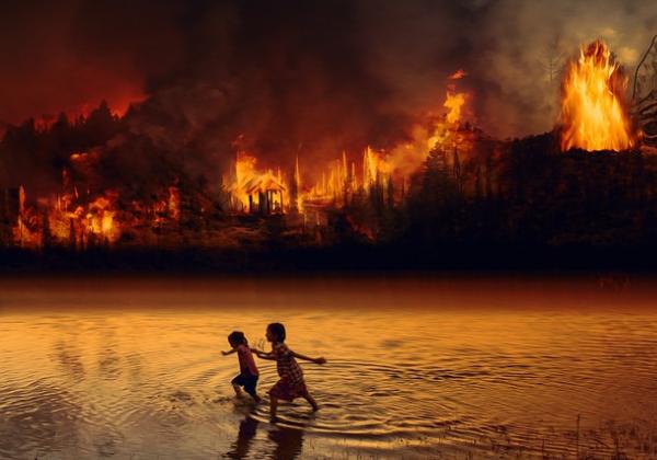 Waduh! Lima Hektar Lahan di Kalteng Kebakaran, Waspada Awal Musim Kemarau