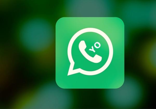 Link Download Yo WhatsApp v9.63 APK by FouadMods, Bisa Kirim File Ukuran Besar Anti Banned!