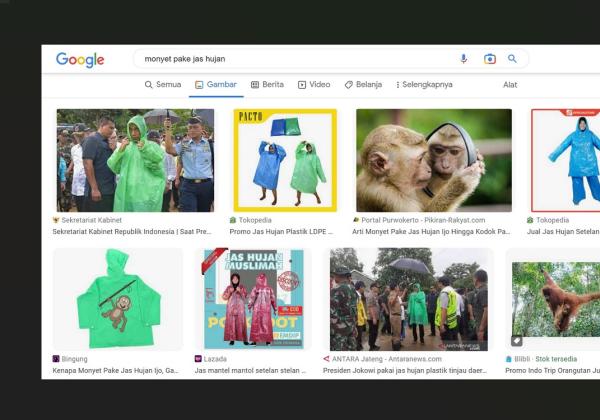 Alasan Kenapa Ketik Monyet Pakai Jas Hujan di Google yang Muncul Foto Jokowi, Begini Penjelasannya... 