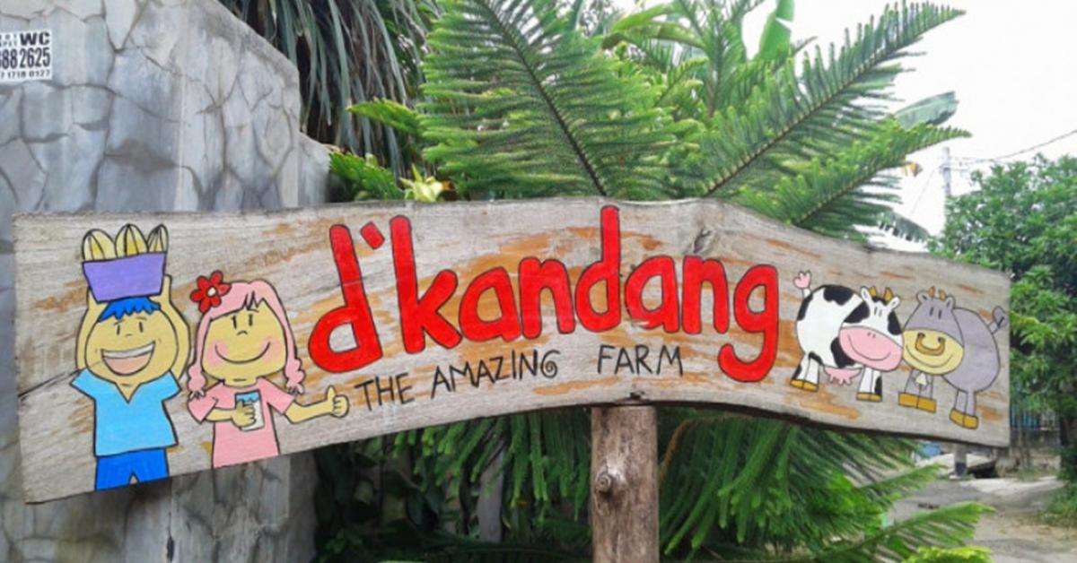 Wisata Edukasi D'Kandang Amazing Farm Depok, Menyenangkan dan Penuh Edukasi
