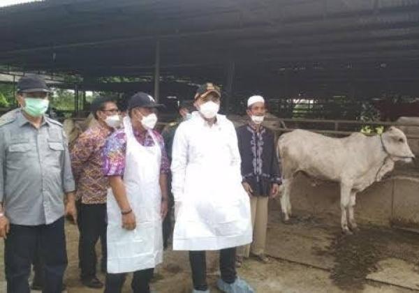 Ratusan Dokter Hewan Sweeping Hewan Kurban Jelang Idul Adha di Tangerang