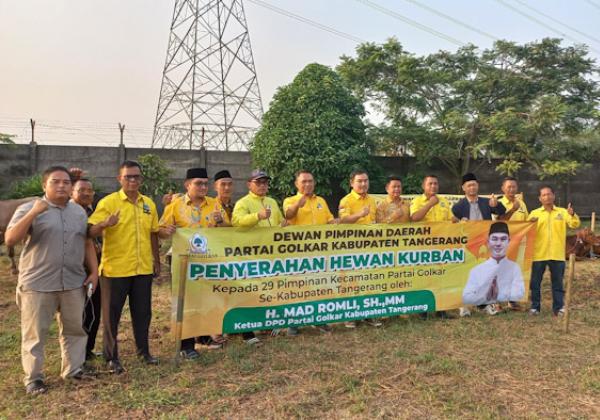 Mantap! Ketua DPD Golkar Kabupaten Tangerang Serahkan 29 Ekor Sapi Untuk Kurban