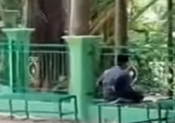 Viral Penjaga Sempatkan Sholat Zuhur di Gua Maria, Netizen Salut: Berbeda dalam Agama Tapi Bersaudara dalam Kemanusiaan