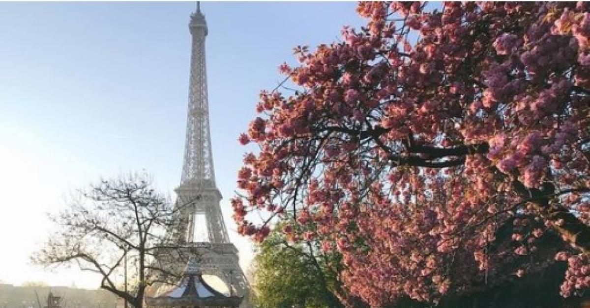 Menguak Kabut Gelap Kota Cinta, Sisi Gelap Kota Paris 