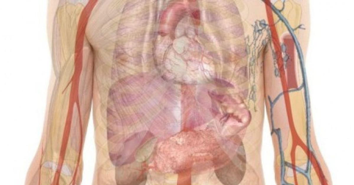 Apakah Penyakit Ginjal Bisa Sembuh? Ini Jawab Dokter