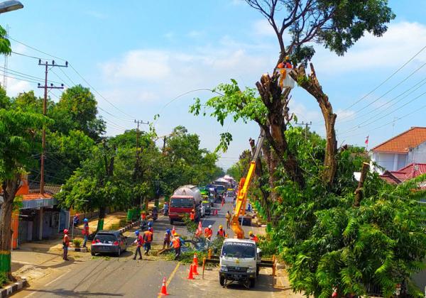 Hadapi Cuaca Ekstrem, Ini Imbauan PLN untuk Jaga Keselamatan Pelanggan